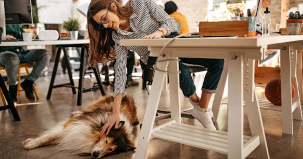 Office Pets